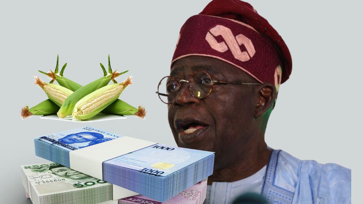 Subsidies: Tinubu's Band-Aid Solution To Nigeria's $200 Billion Agricultural Financing Gap