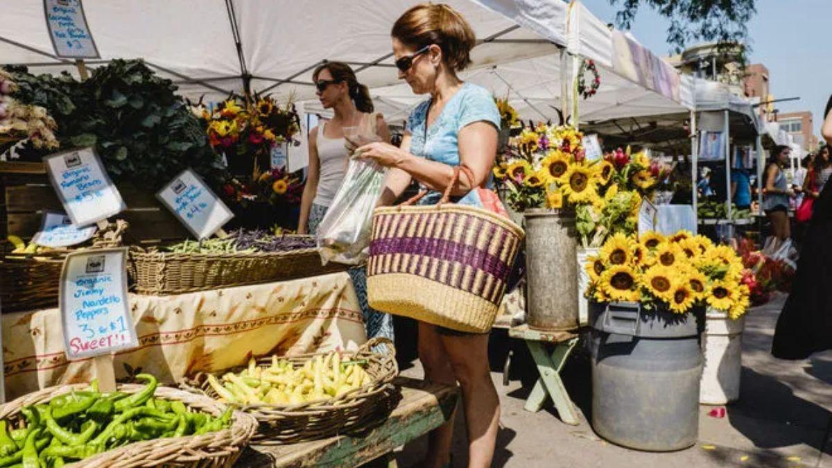 USDA Forecasts 2024 Farm Sector Income Dip