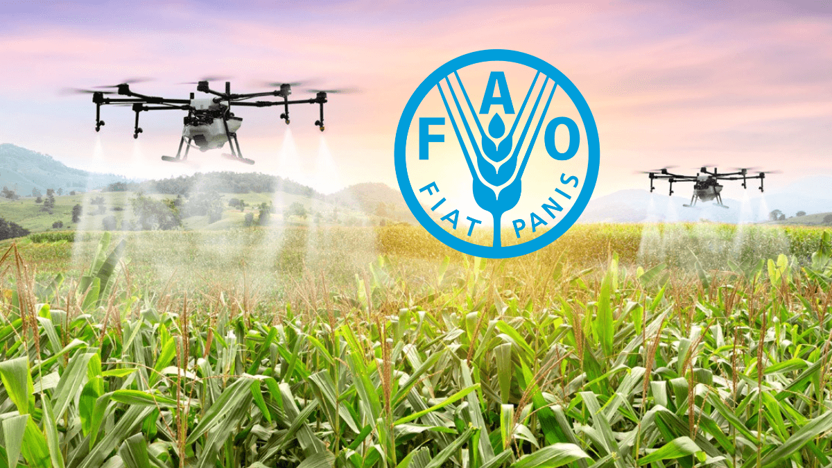 FAO Seeks Innovative Solutions For Sustainable Future With $10,000 Award