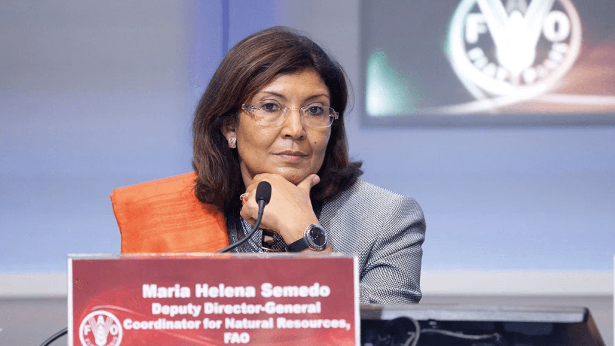 Global Environment Facility Approves $2.9 Billion For FAO-Led Agri-Food Transformation
