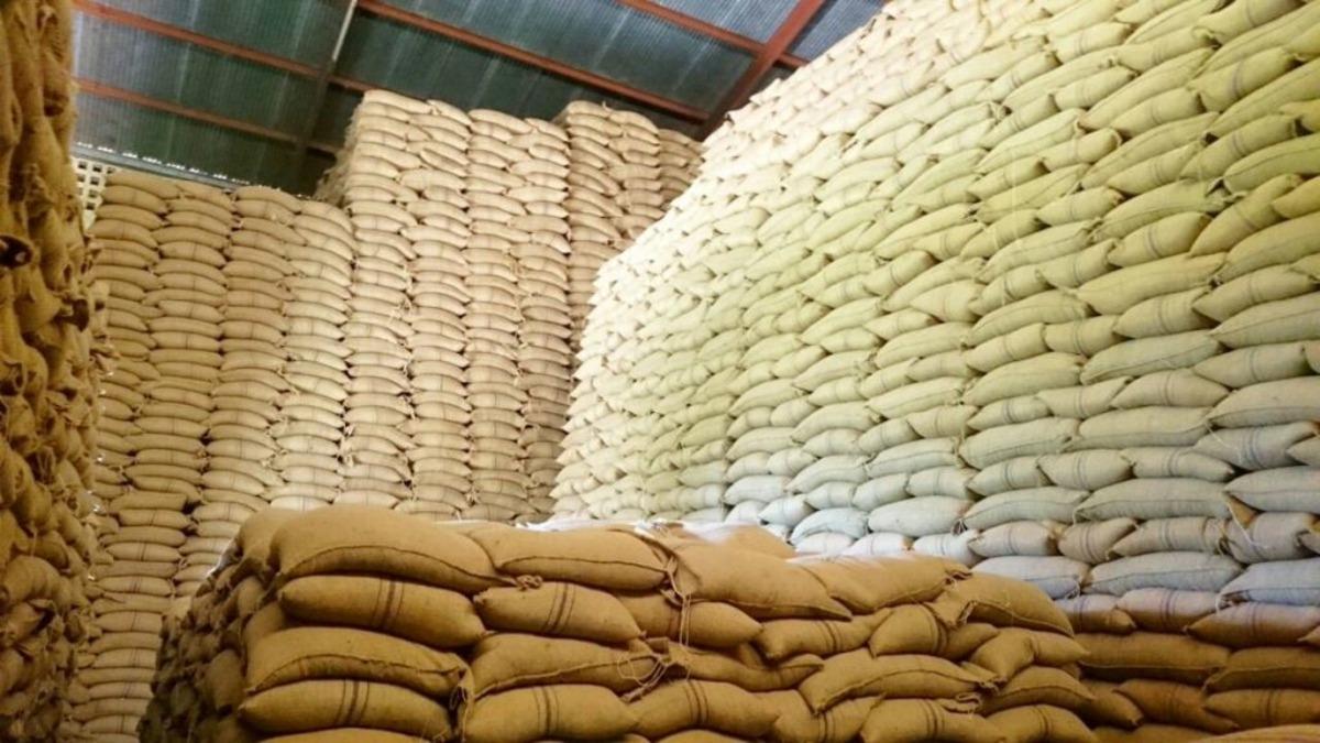 Nigeria Releases Grains To Curb Food Crisis, Ramps Up Dry Season Farming