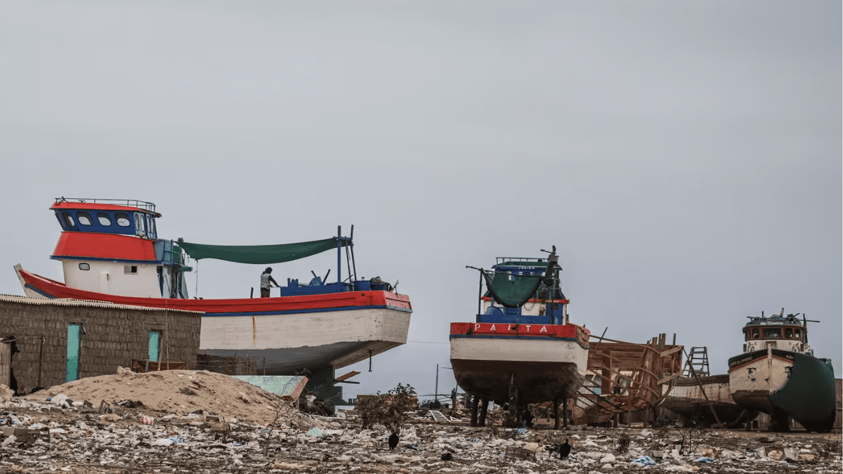Peru's Fishing Industry Faces Threat From Illegal Shipyards