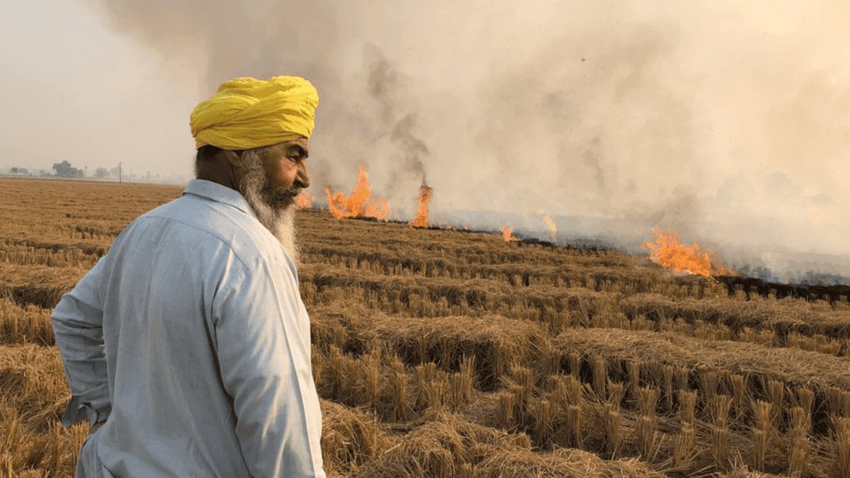 Innovative Solution Emerges To Combat Stubble Burning Crisis In India