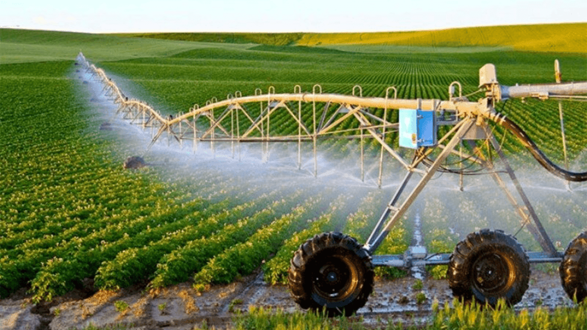 Canada Funds 101 Innovative Agriculture Projects With $16.3 Million