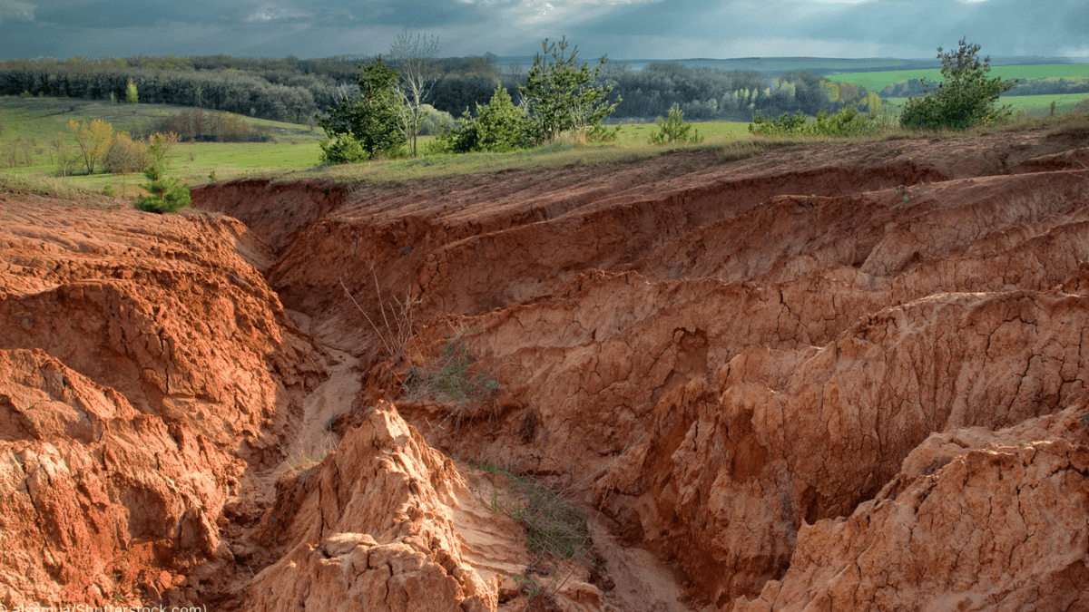 Land Degradation Threatens 80 Million Hectares In Central Asia