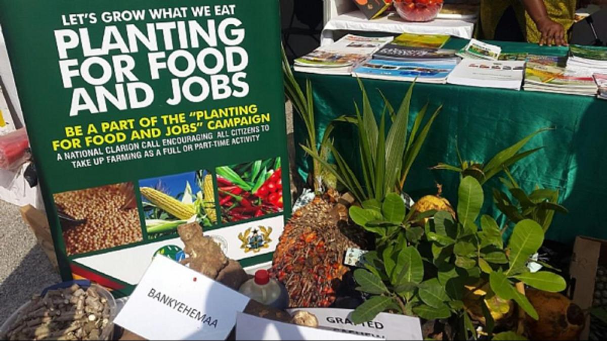 Ghana Opens Registration For Second Phase Of Food, Jobs Project