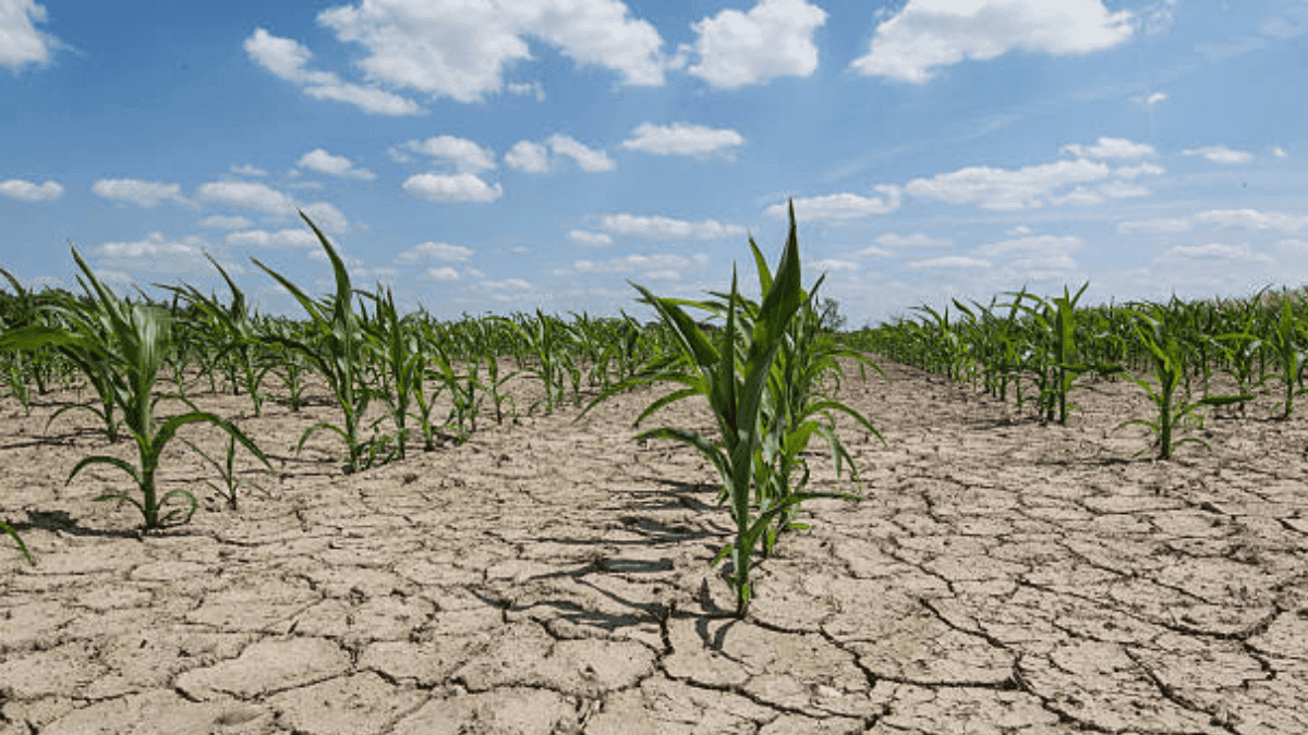 Spanish Drought Puts Farmers And Tourism On Edge