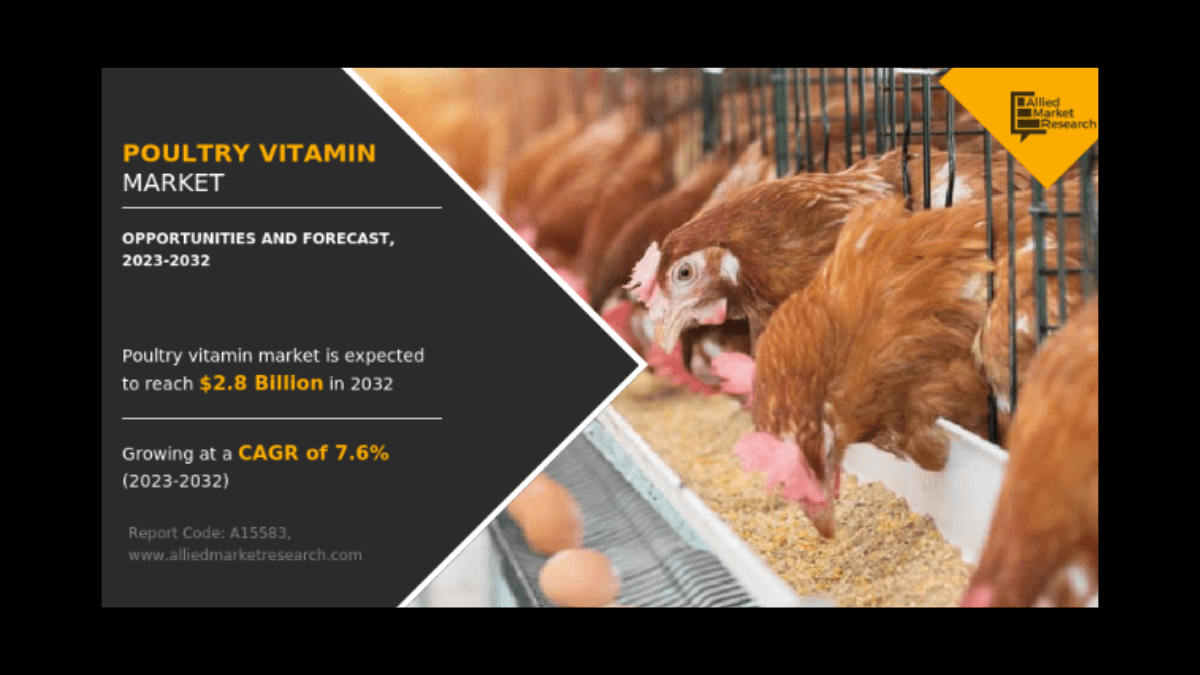Poultry Vitamin Market Surges With A $2.8 Billion Projection By 2032