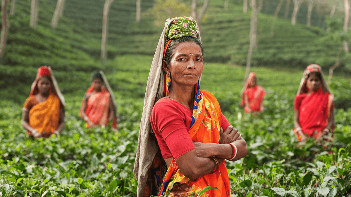 Regenerative Farming Gains Ground In India, Pakistan