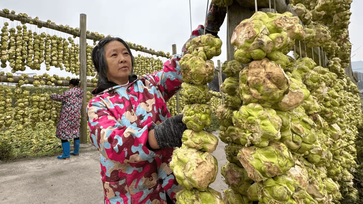 Zhacai: From China's Military Ration To Social Media Sensation