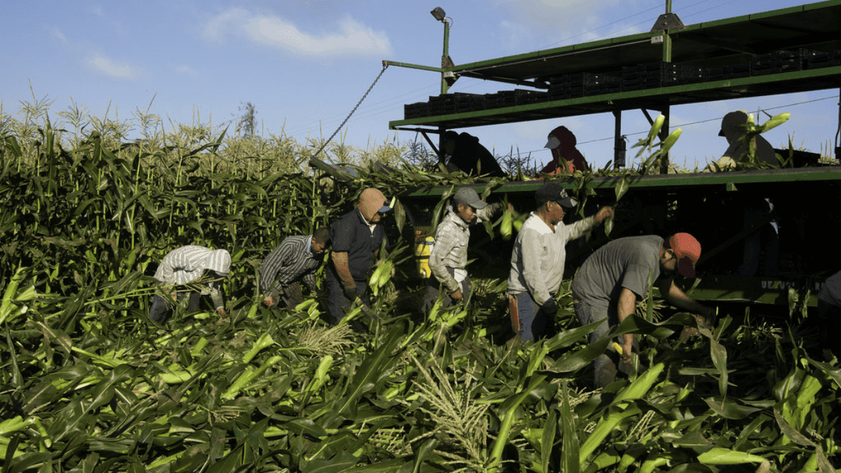 Canada Allocates $5 Million To Address Labour Challenges In Agri-Food Sector