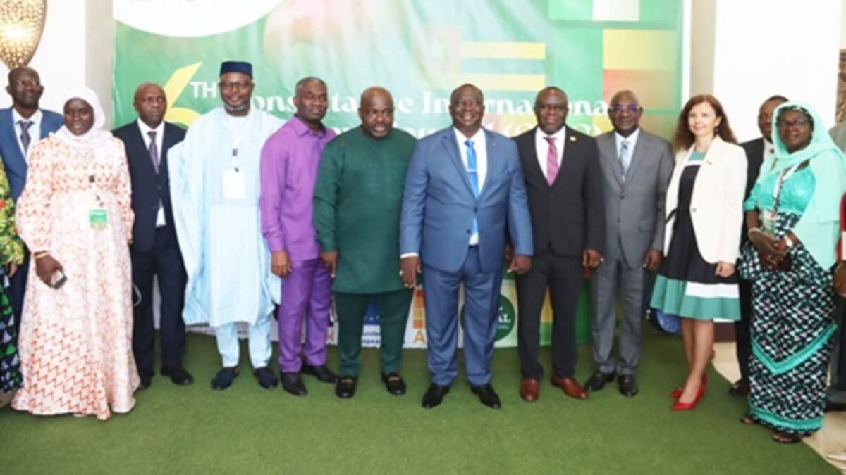 Ghana Pours $60 Million Into Cashew Sector To Boost Processing, Local Dominance
