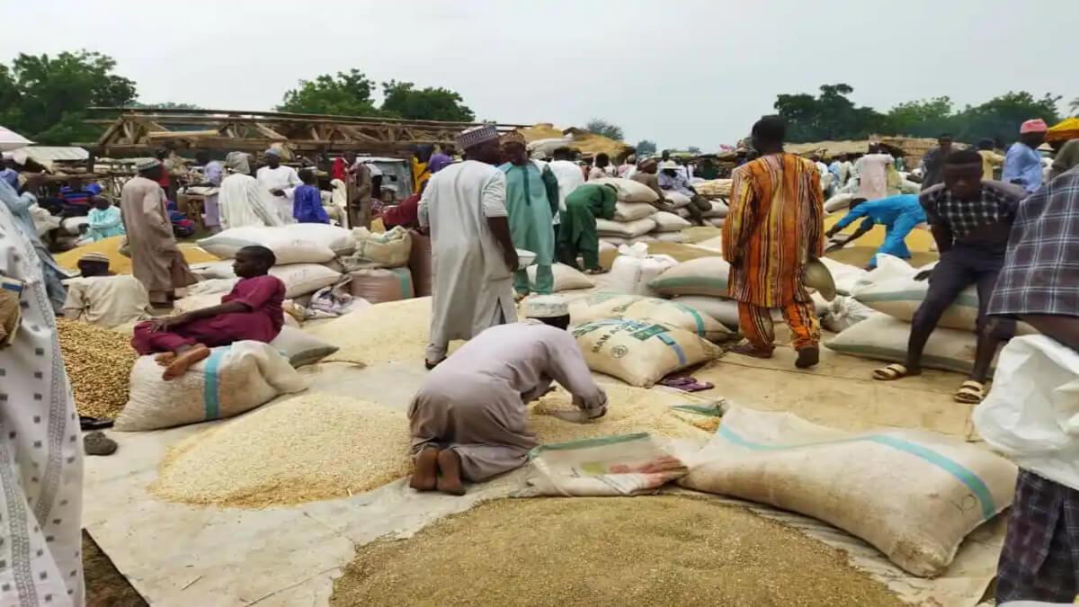 Rice Prices Fall In Nigeria After Niger Land Border Reopens