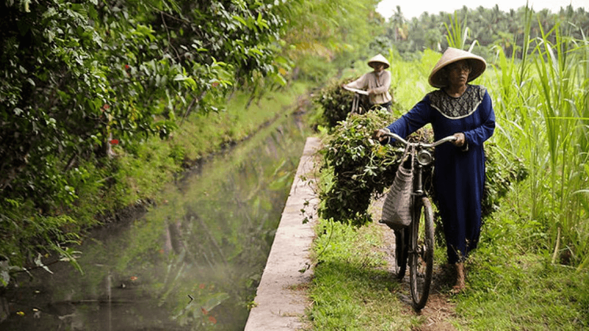 IFAD Open $1 Million Call For Proposals To Boost Uzbekistan's Rural Economy