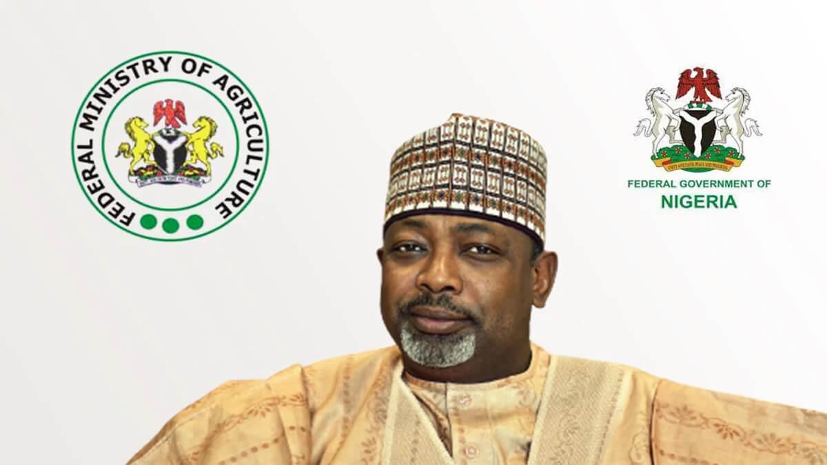 Nigeria And Vietnam Partner To Boost Rice, Cashew Production