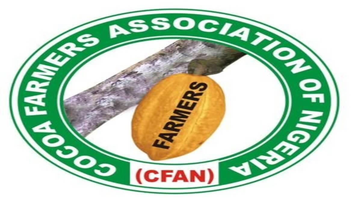 Nigerian Cocoa Farmers See Opportunity In Deregulated Market, Unfazed By Lack Of LID
