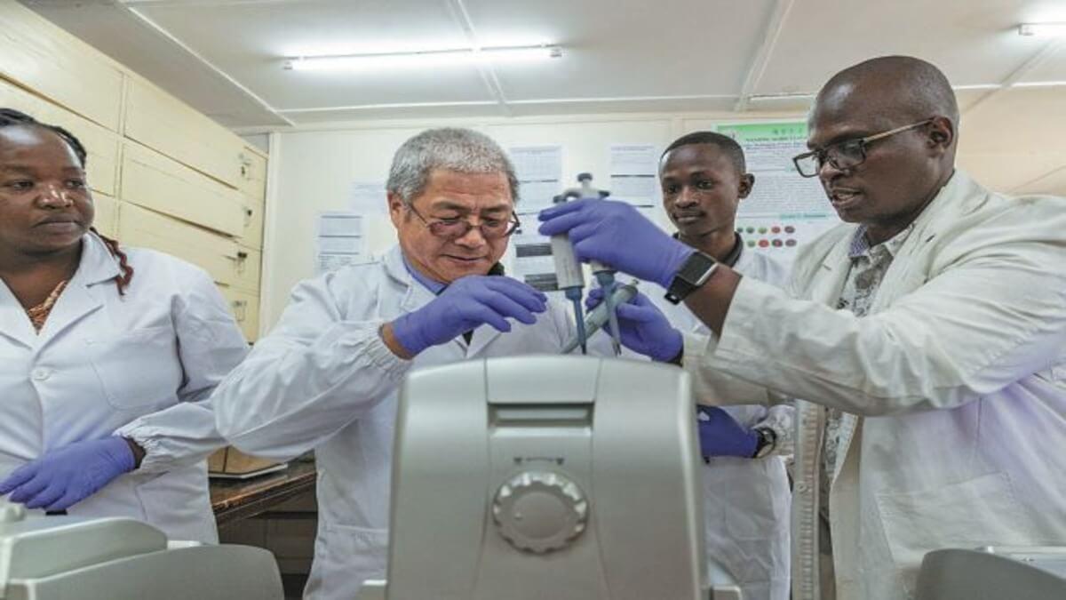 Kenya-China Collaboration Sprouts New Disease-Resistant Crops
