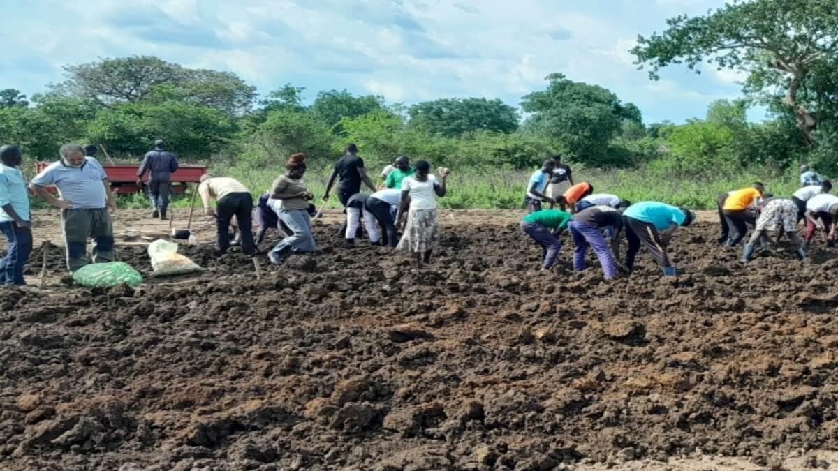 British Potato Supplier Partners Ugandan College To Boost Food Security