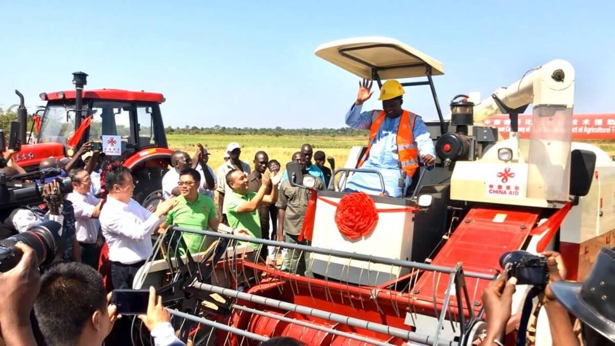 China, Gambia Project Harvests Success With Hybrid Rice, Mechanisation
