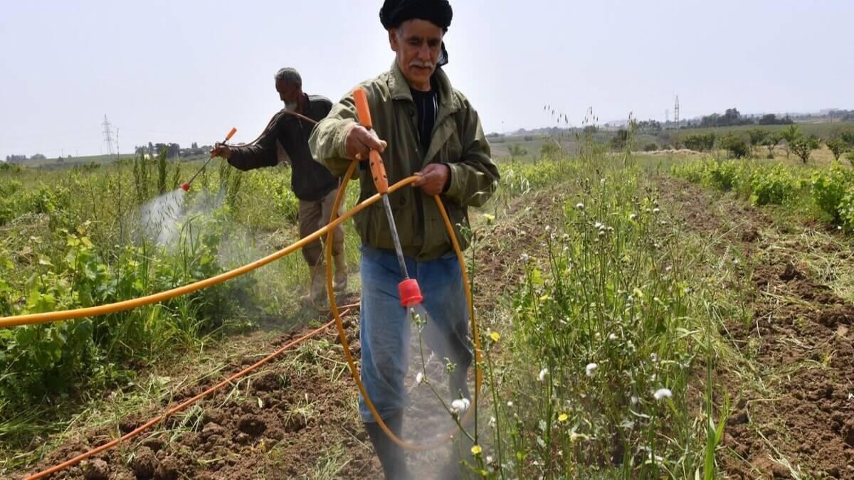Algeria Launches Nationwide Agricultural Census To Bolster Food Security
