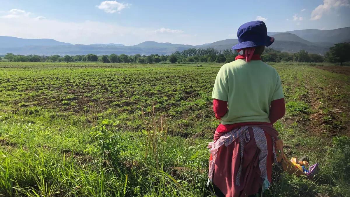 South African Farmers To Benefit From Communal Land Initiative