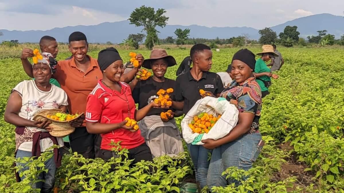 Canada Invests In Empowering Tanzanian Women, Youth For Climate-Smart Agriculture