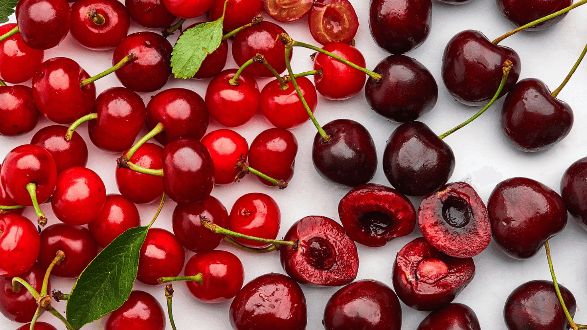 Turkish Cherry Season Estimated Better Than Previous Seasons
