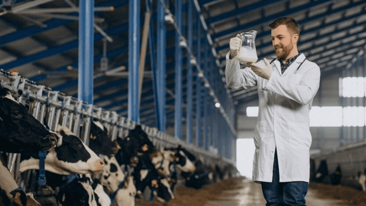 USDA, HHS Take Swift Measures To Combat H5N1 Bird Flu Outbreak