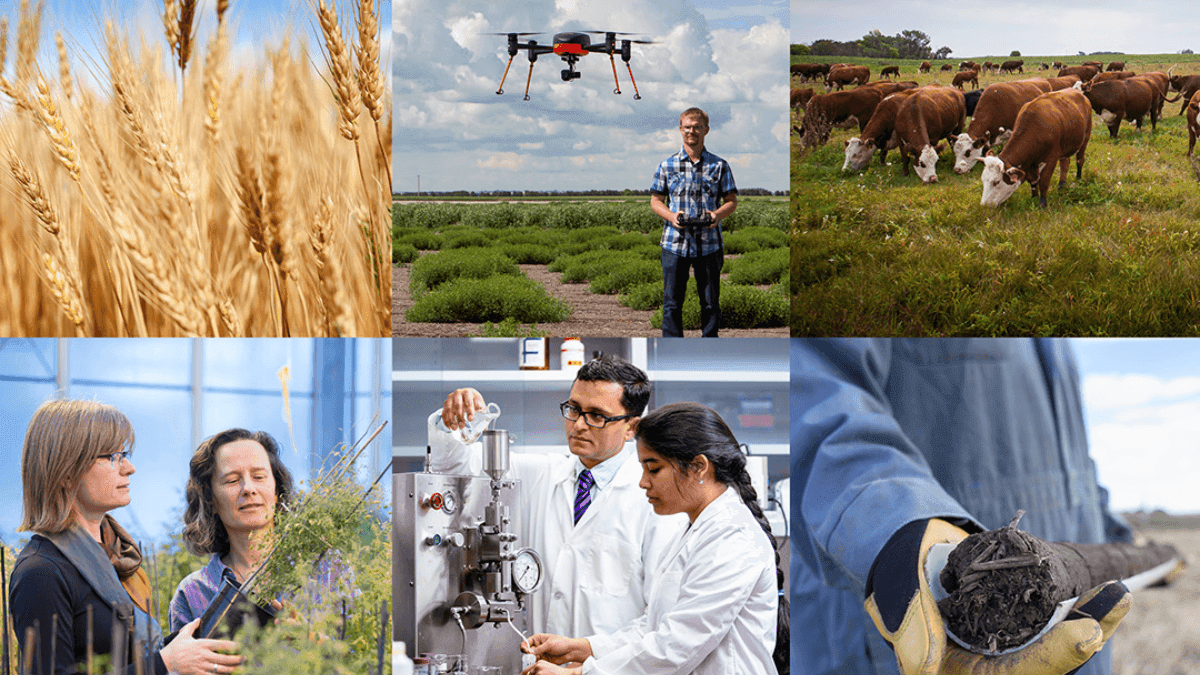 Canadian Government Commits $25 Million To Agriculture Research