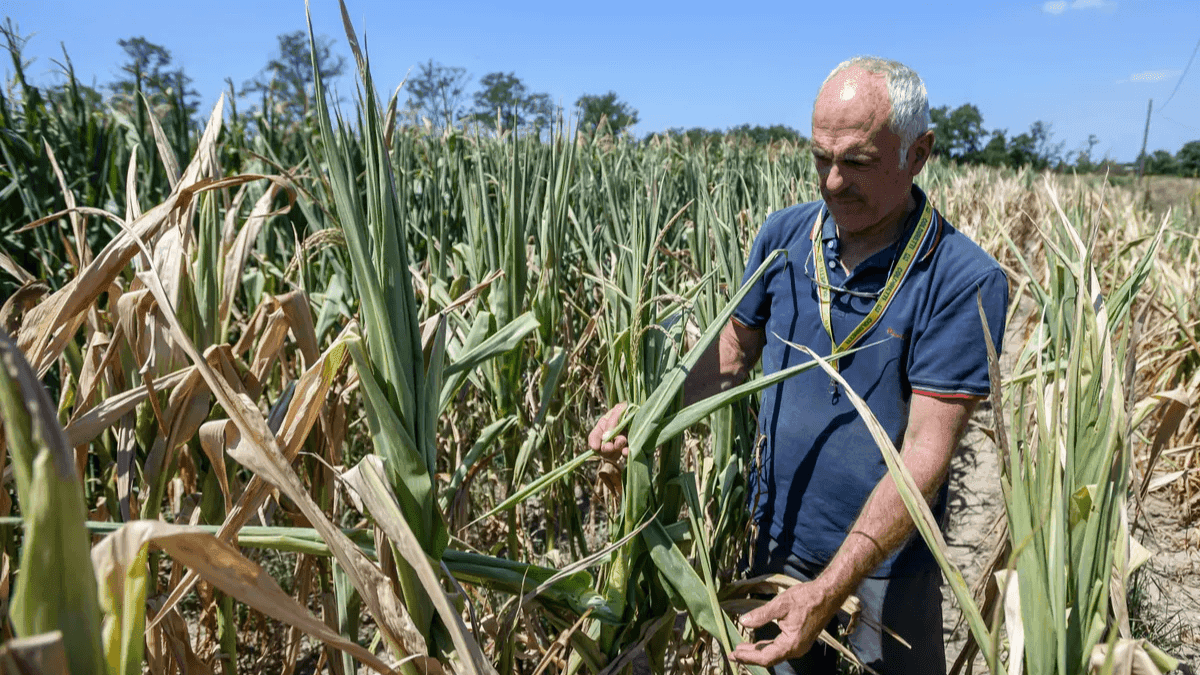 European Commission Clarifies CAP Payments For Farmers In Exceptional Weather