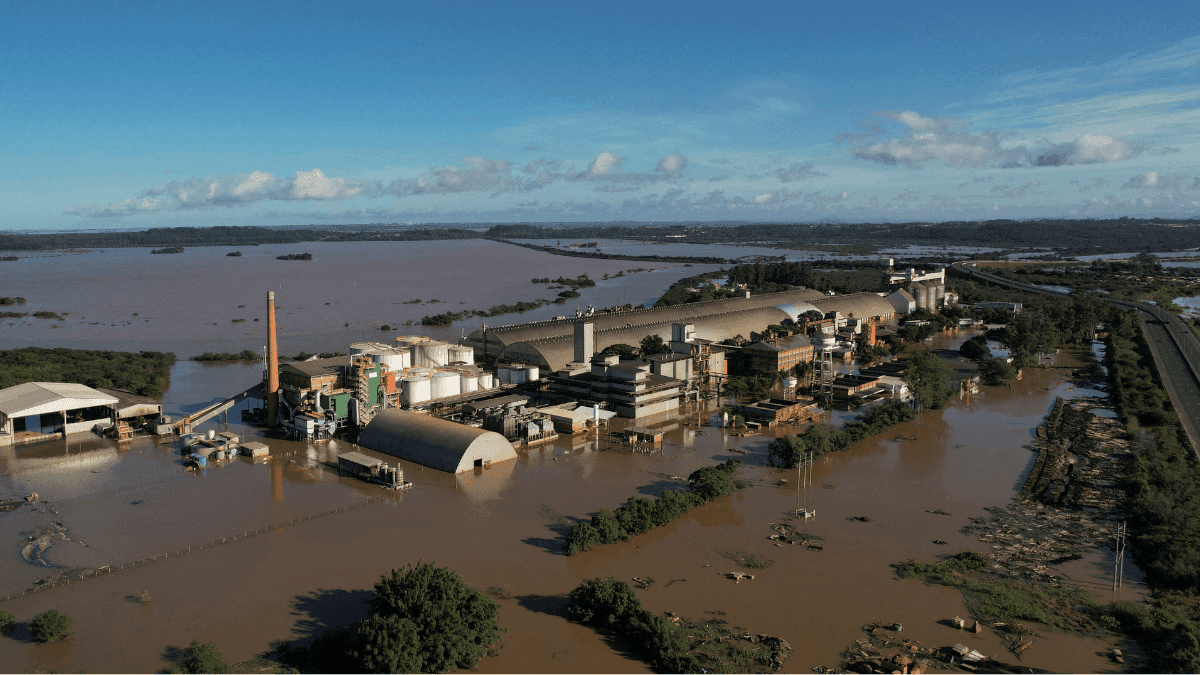 Southern Brazil Farmers Hesitate To Replant In Face Of Post-Flood Dilemma