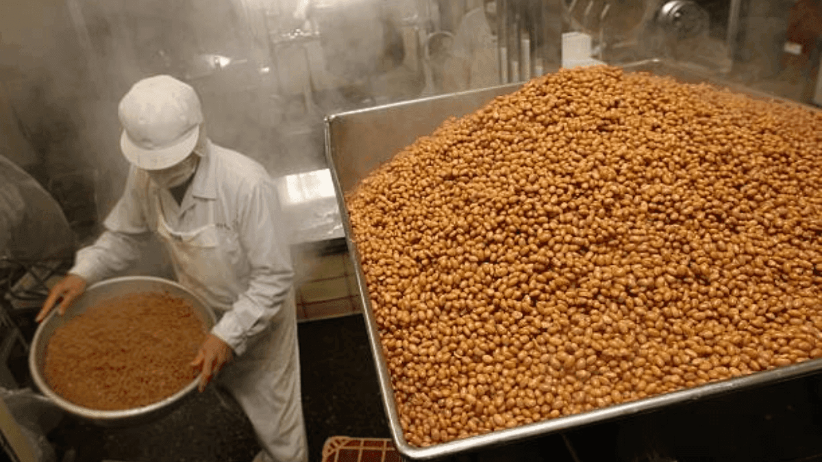 Argentina Faces Soybean Crusher Strike Amidst Peak Harvest Season