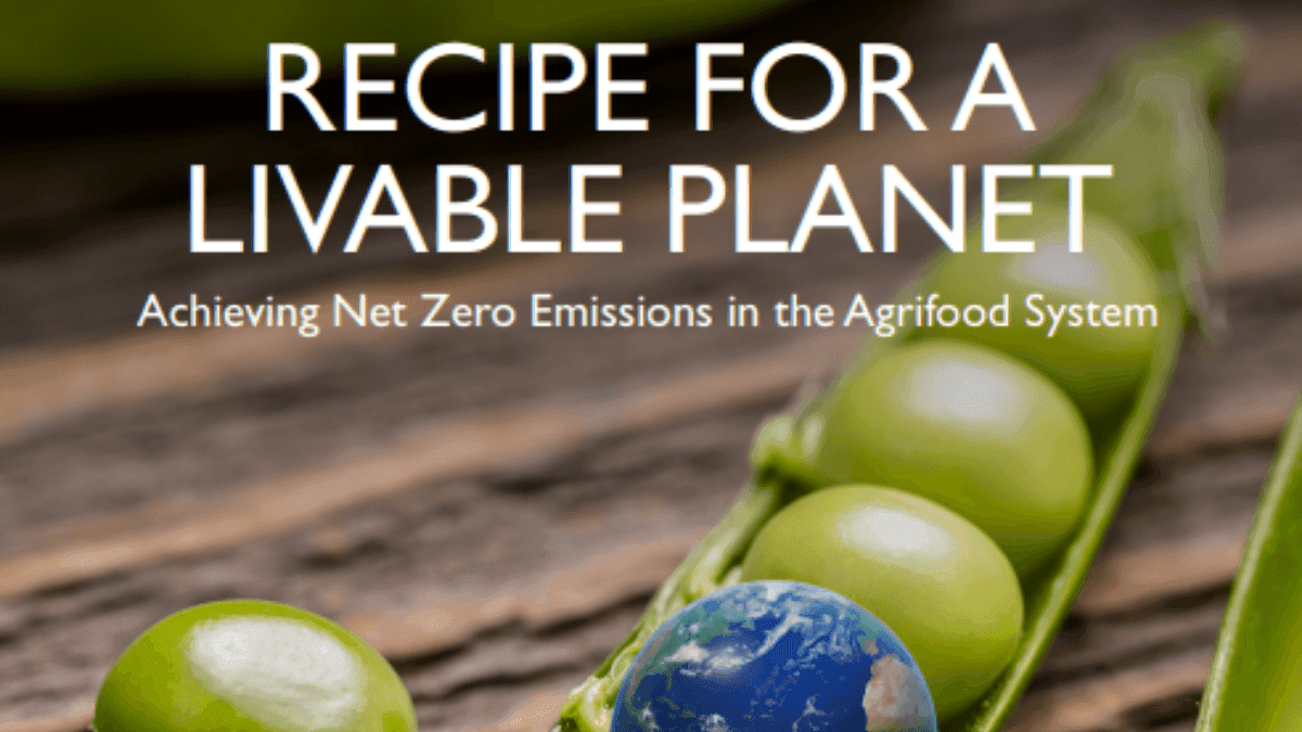 World Bank Calls For Investment To Halve Agrifood Emissions By 2030