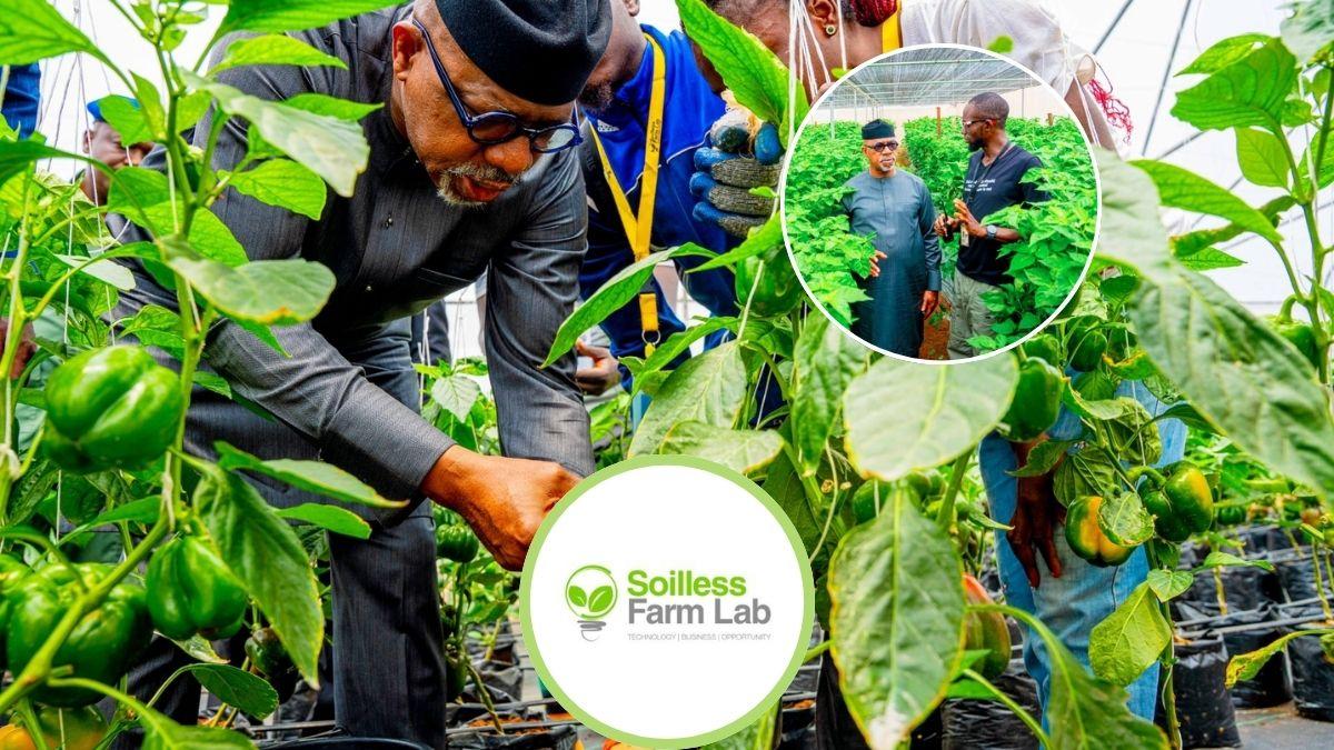 Ogun State Govt. Announce ₦20M Grant In Soilless Farm Lab's Training Efforts