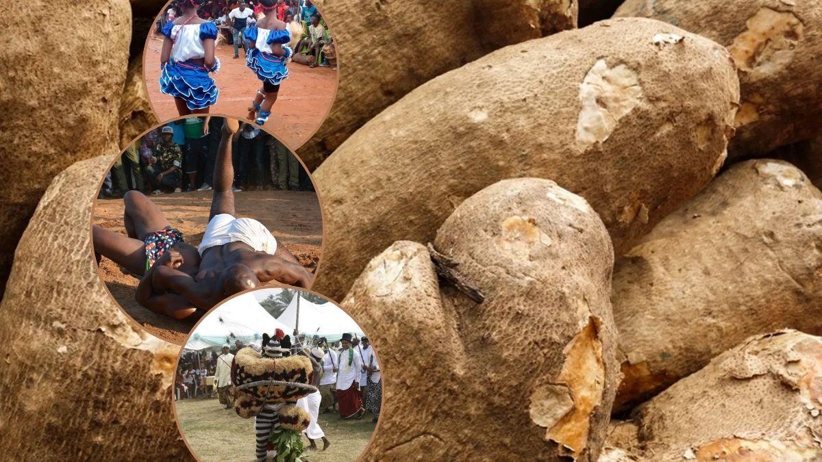 Yam Prices Set To Plummet As Ogoja Harvest Looms
