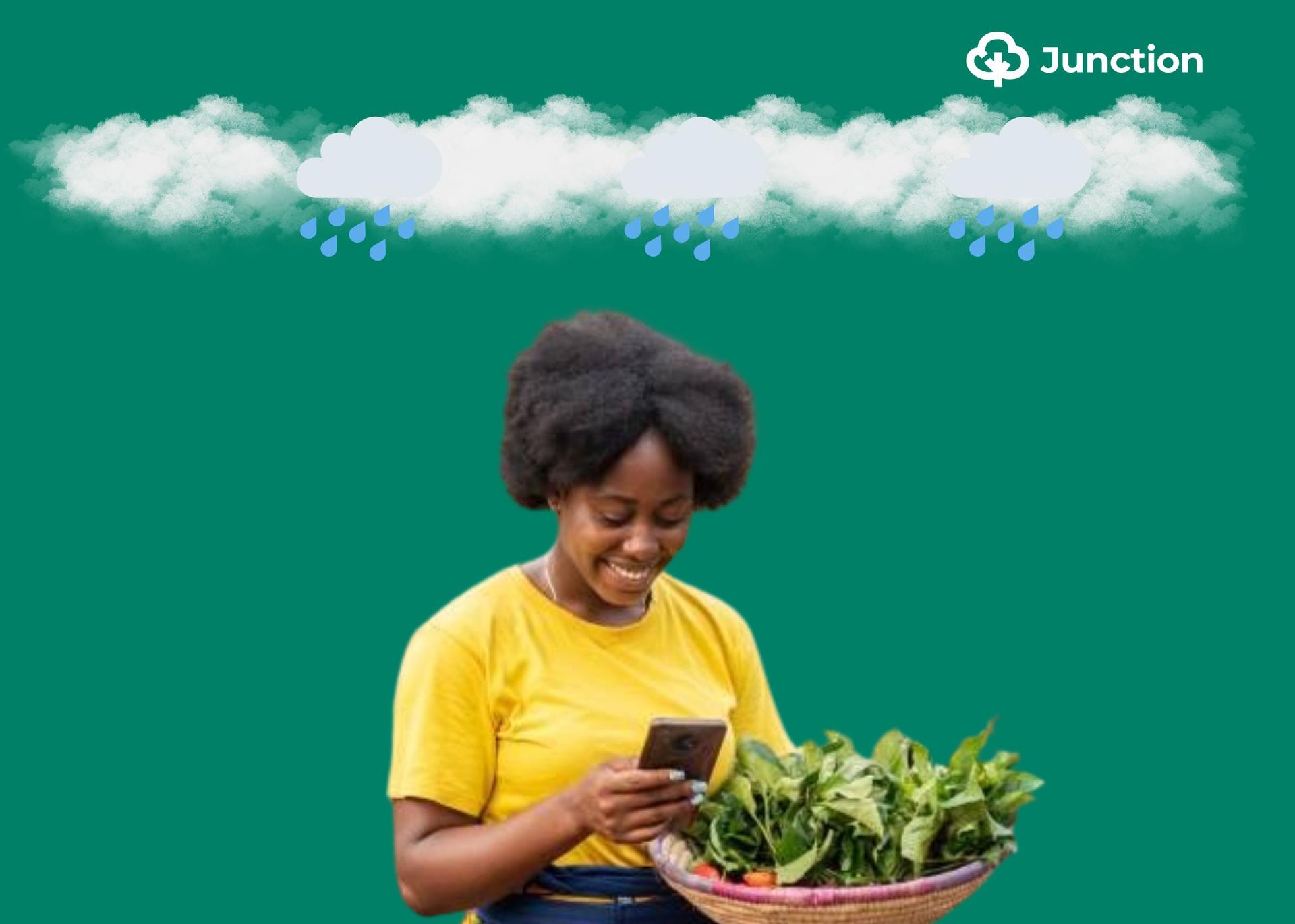 At The Mercy Of The Sky: Perils Of Rainfed Farming In Nigeria