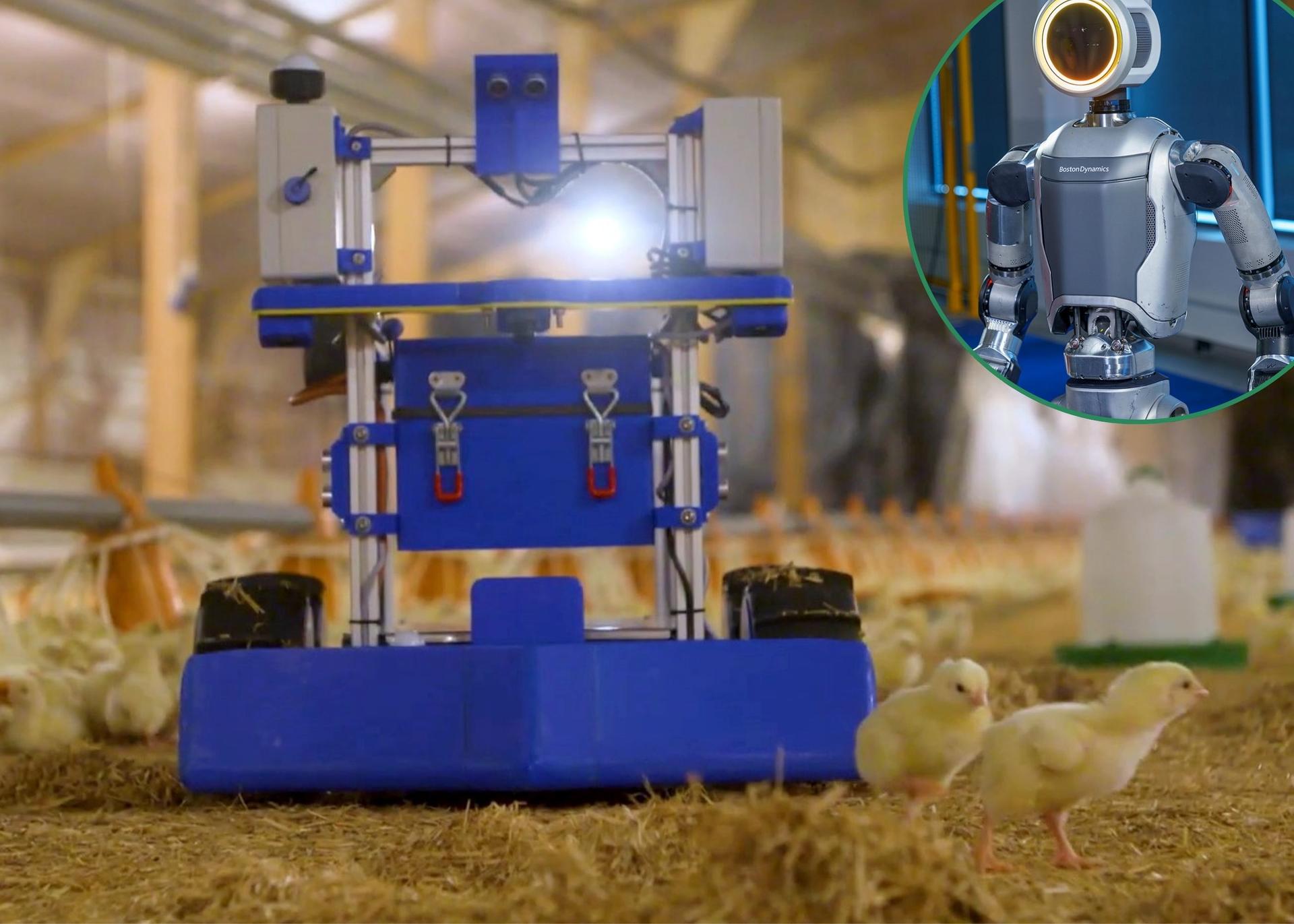 FACCO West Africa Champions Automation For Poultry Businesses