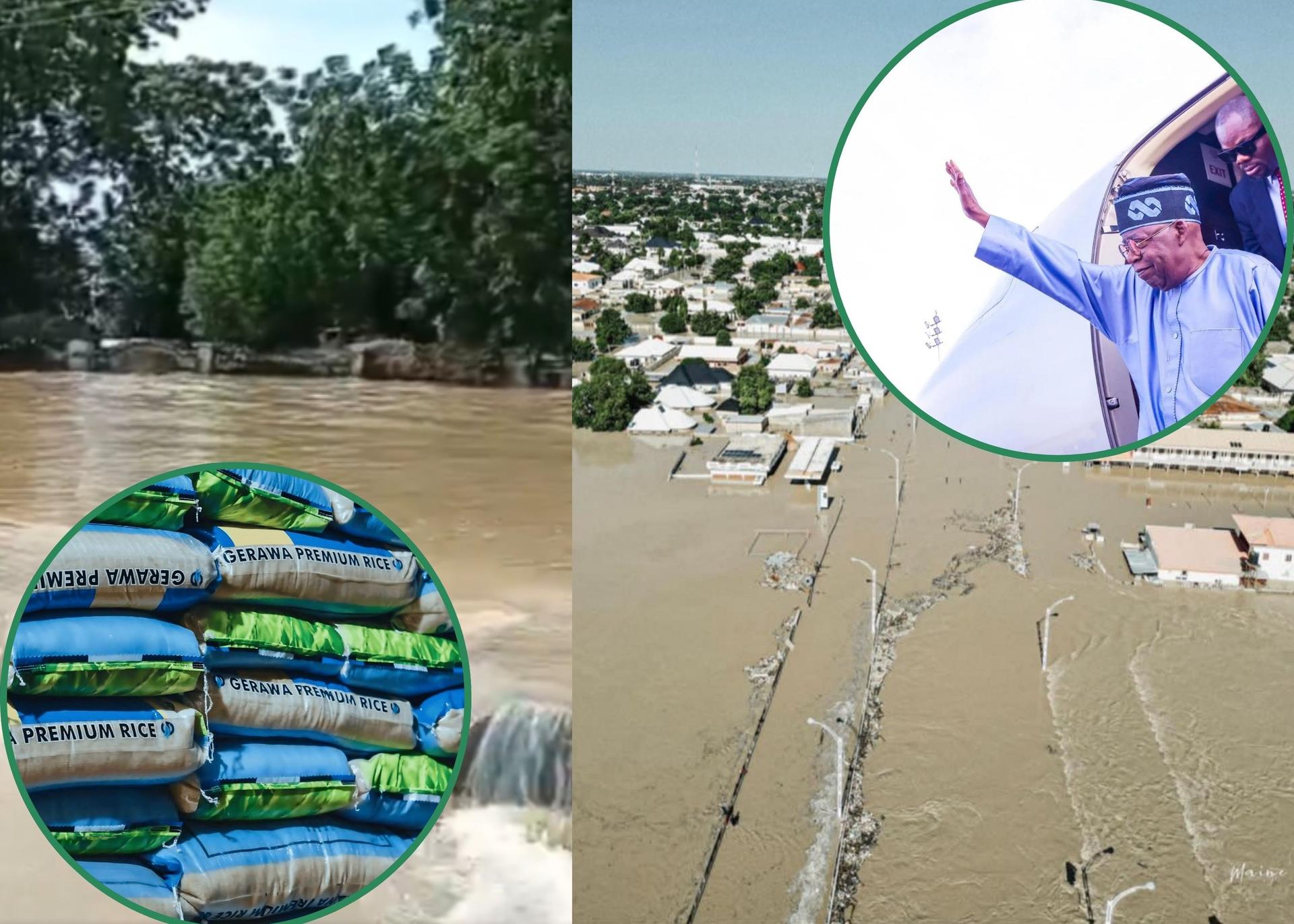 Borno Flood: 5 million Face Food Insecurity, 70,500 Hectares Of Cropland Affected