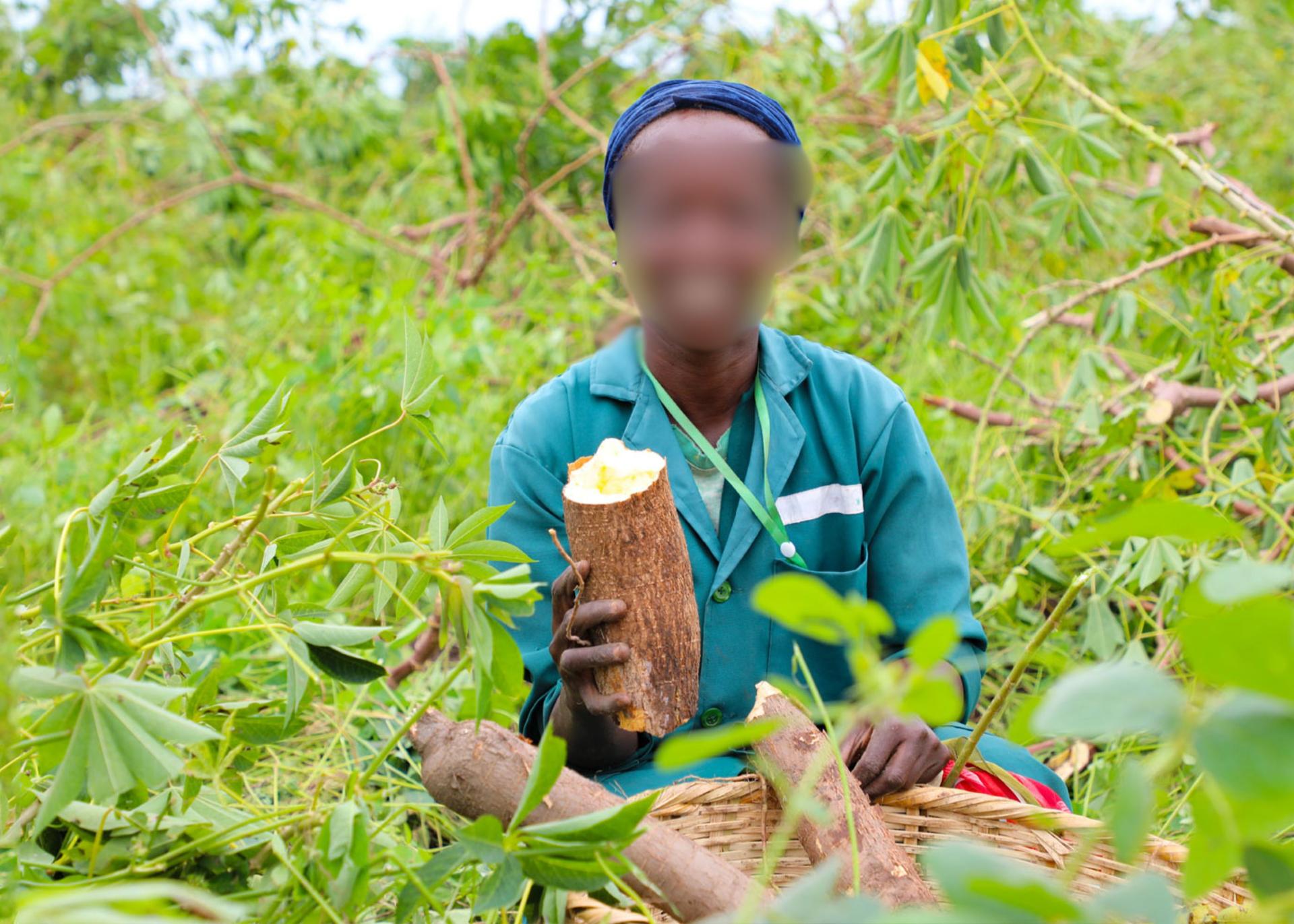 Nigeria Post-Harvest Losses Up To 50% —FAO Expert