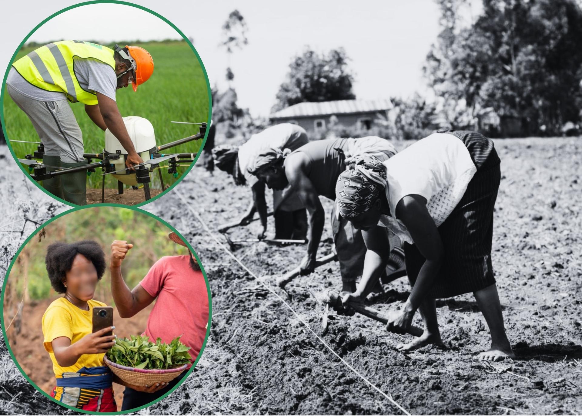New Tech Solutions Offer Hope For Smallholder Farmers