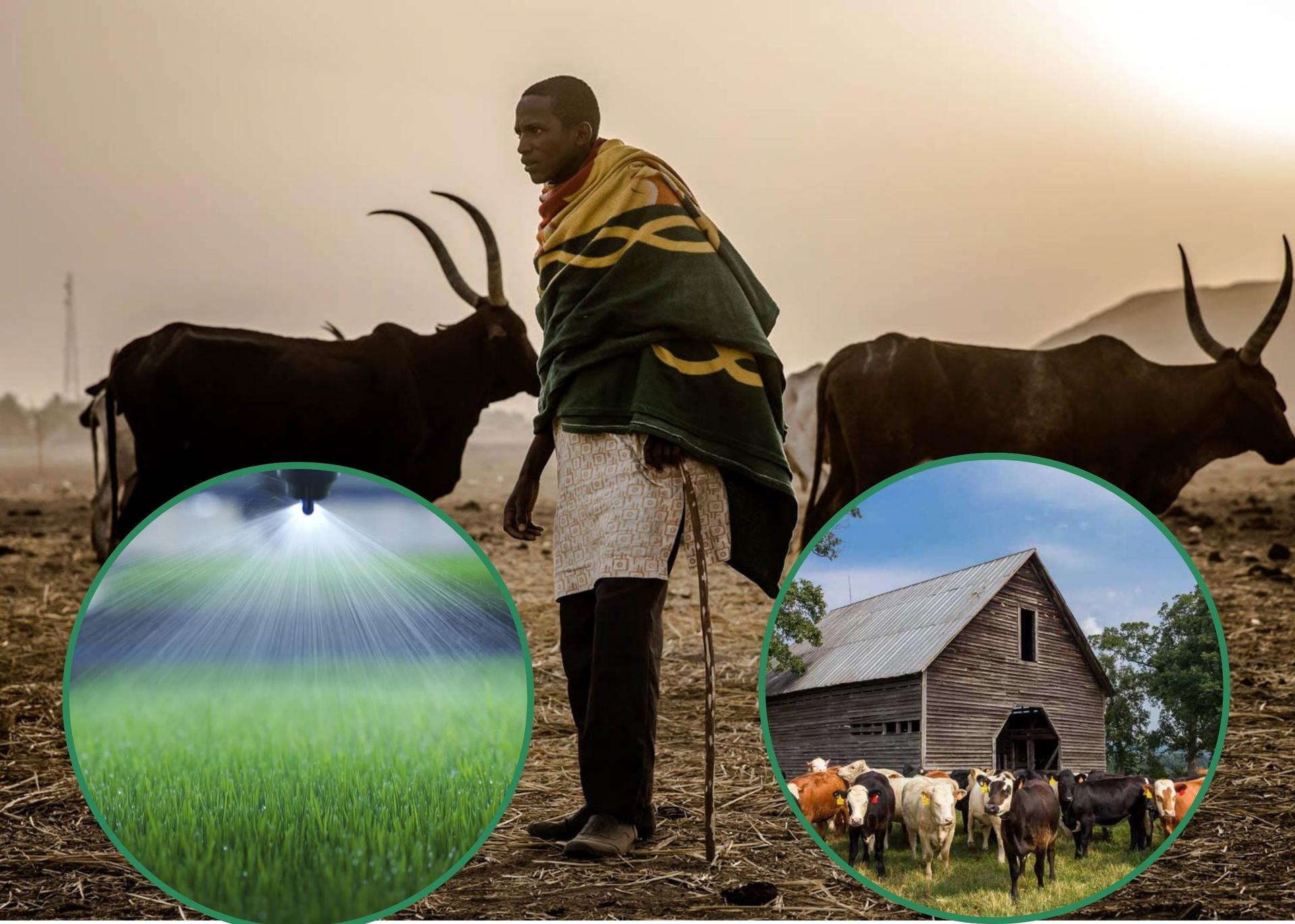 Kano Announces Event For $90M Pastoral Development Project