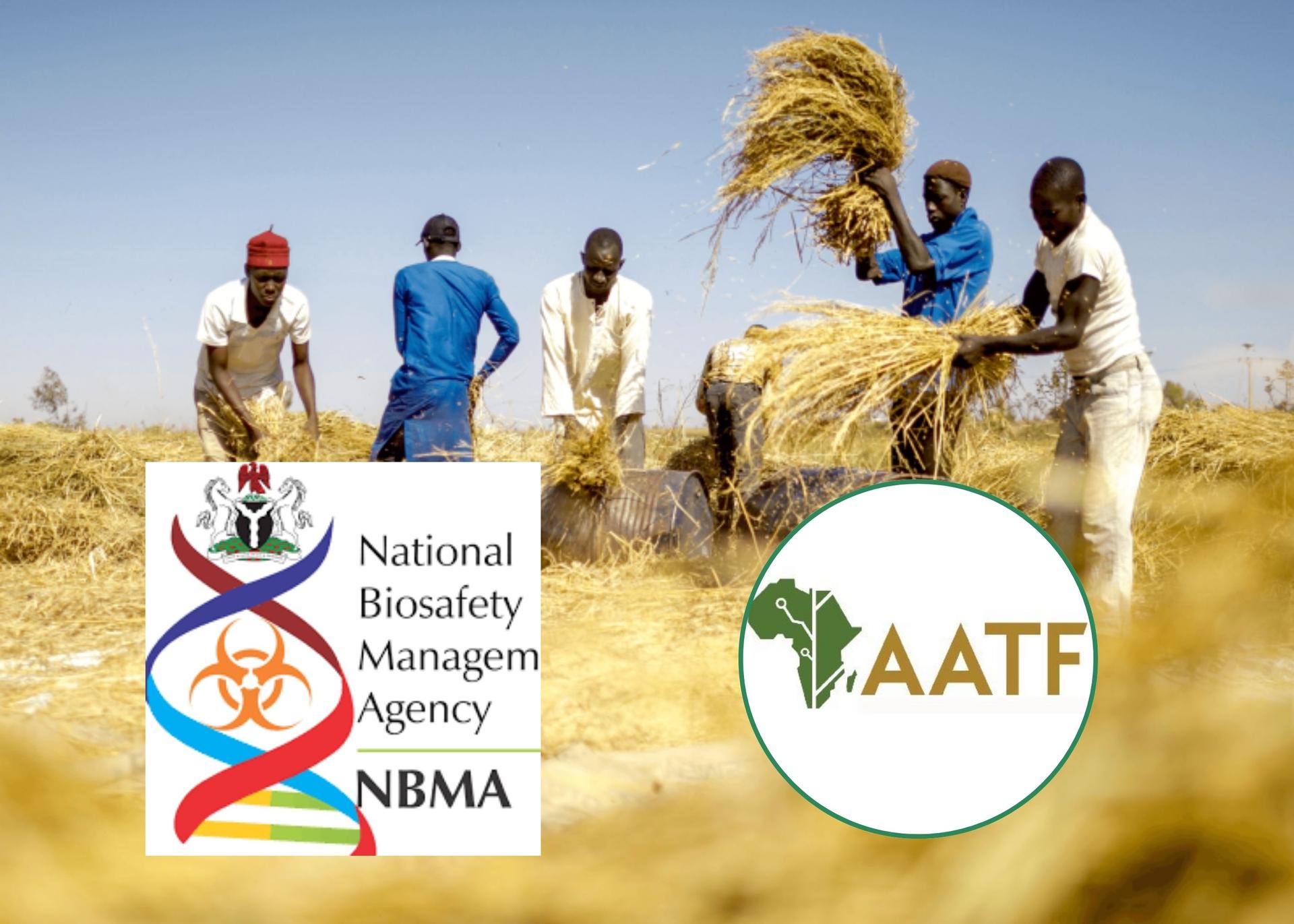 Former NBMA Boss Praises Role Of AATF In Developing Biosafety Guidelines