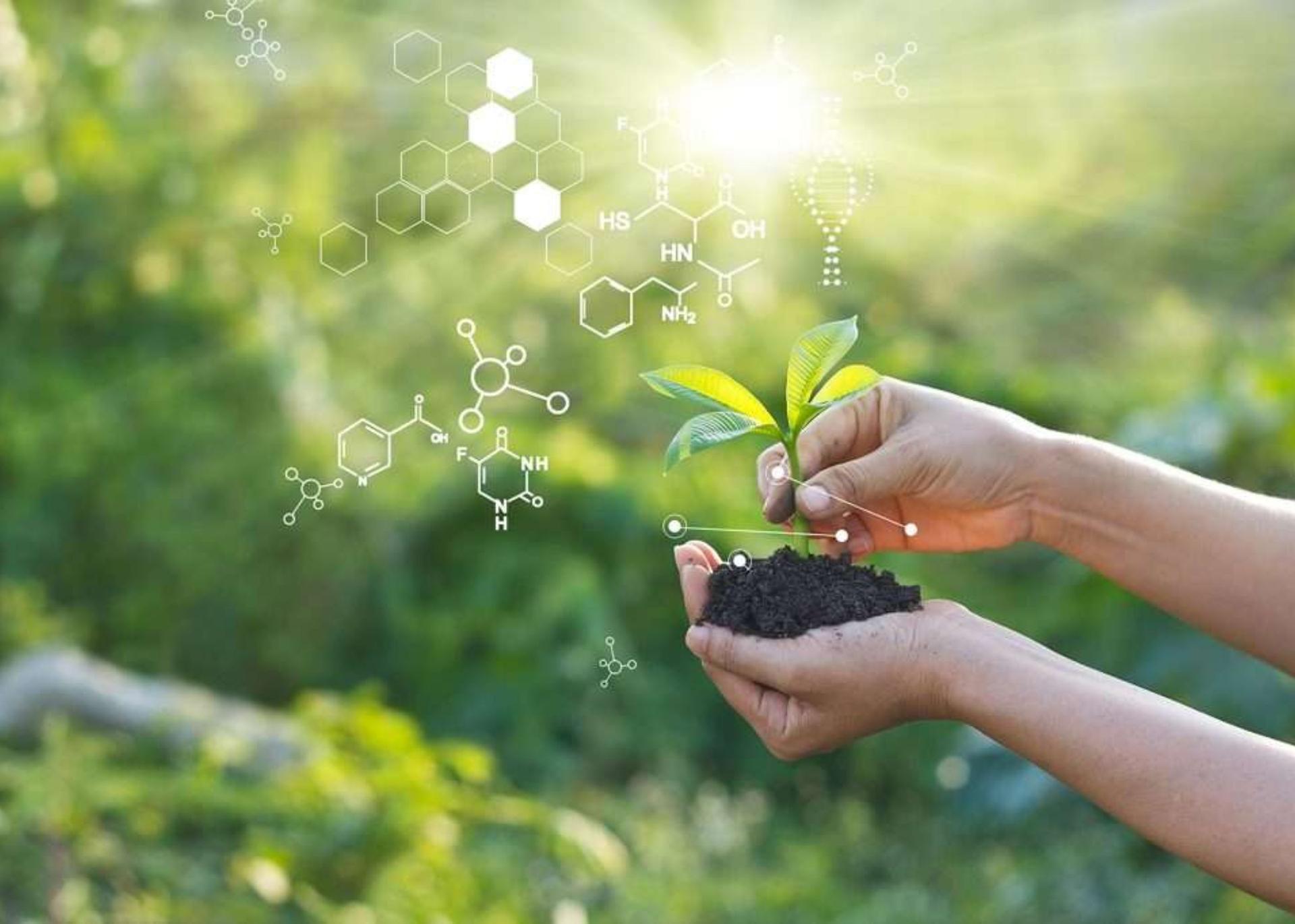 Africa's GMO Market Expected To Grow 5% Annually