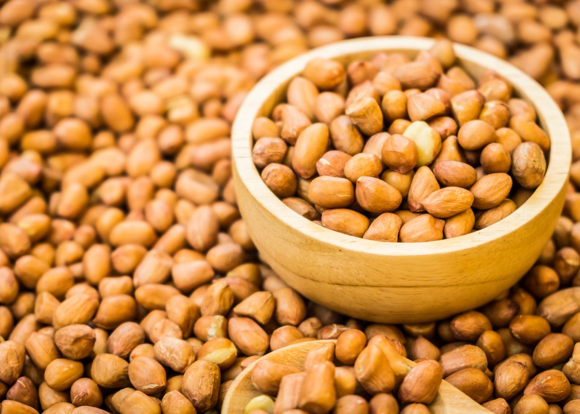 Farmer Leverages Groundnut Farming To Boost Monthly Income