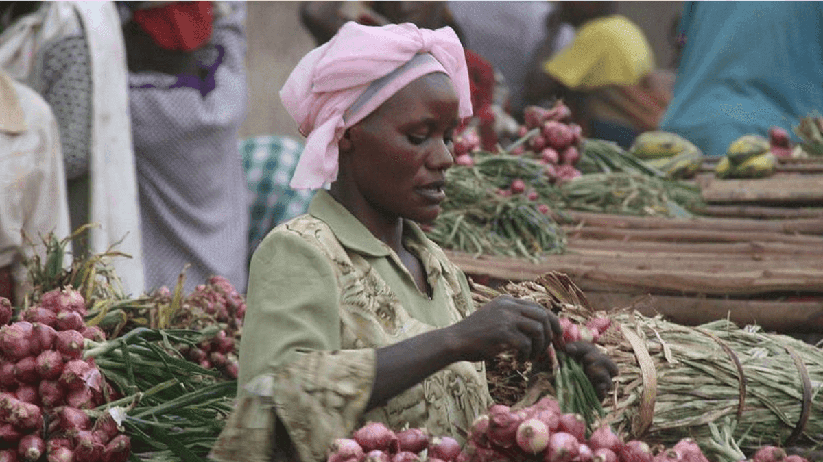 Nigerian Onion Farmers To Face 50% Post-Harvest Losses