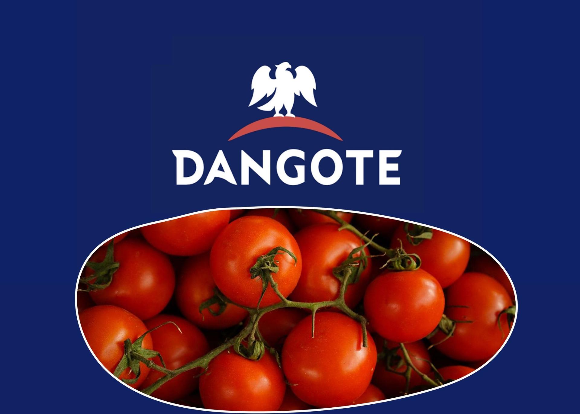 Dangote Group Opens Largest Tomato Processing Facility In Africa