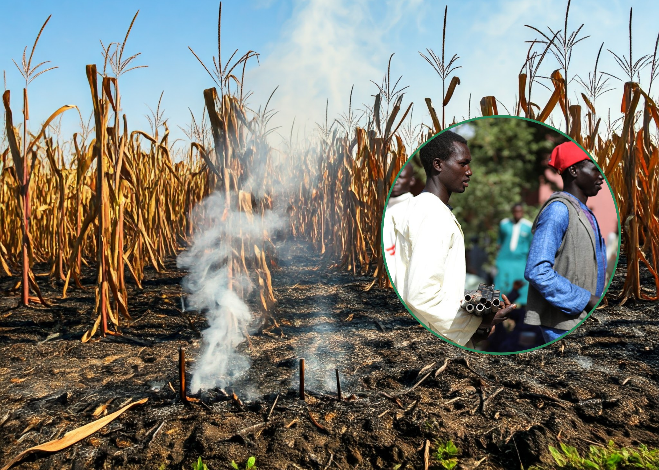 Experts Decry Recent Upsurge In Bandit Attacks On Nigerian Farms