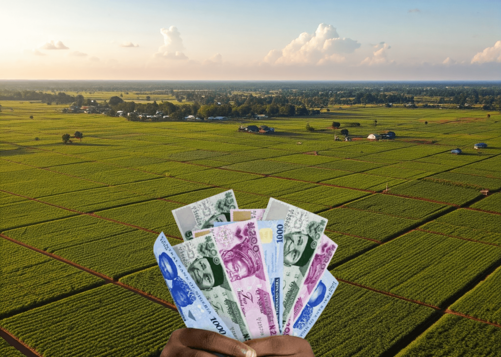 Nigeria's Agriculture Contribution To GDP Rise In Q3 2024