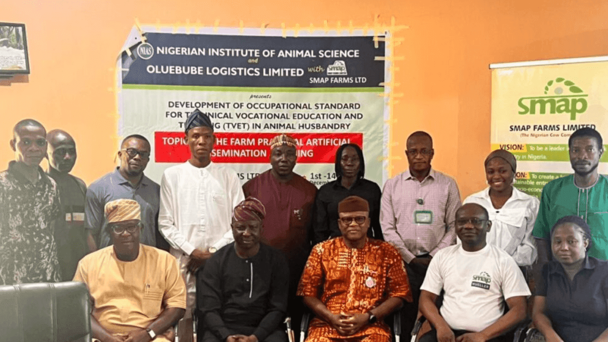SMAT Farms CEO Calls For Livestock Investment Under Tinubu's Leadership