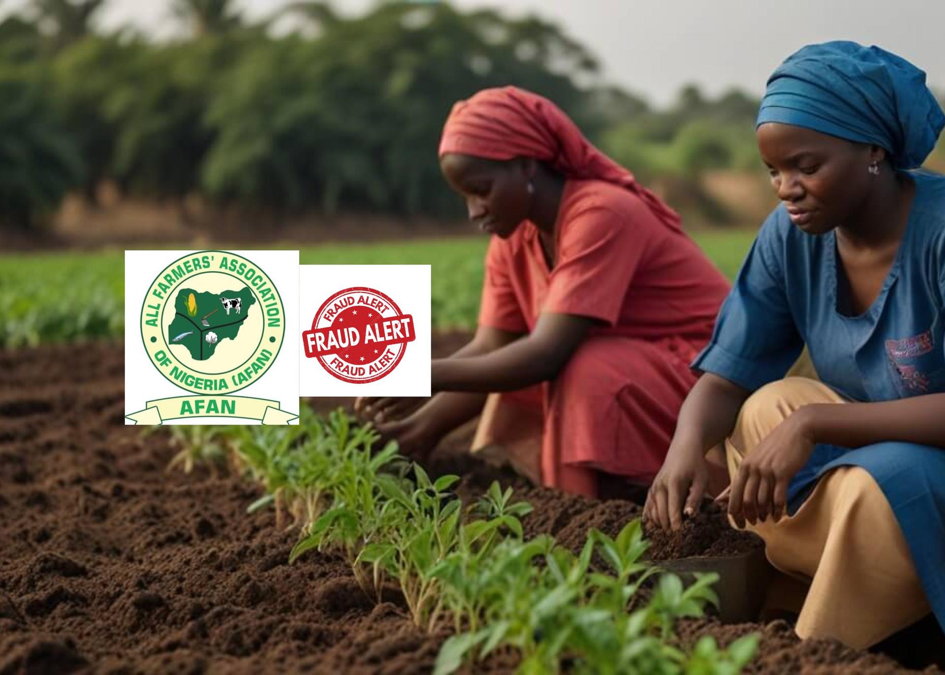 Fraud Alert: Imposters Target Farmers In Jigawa State